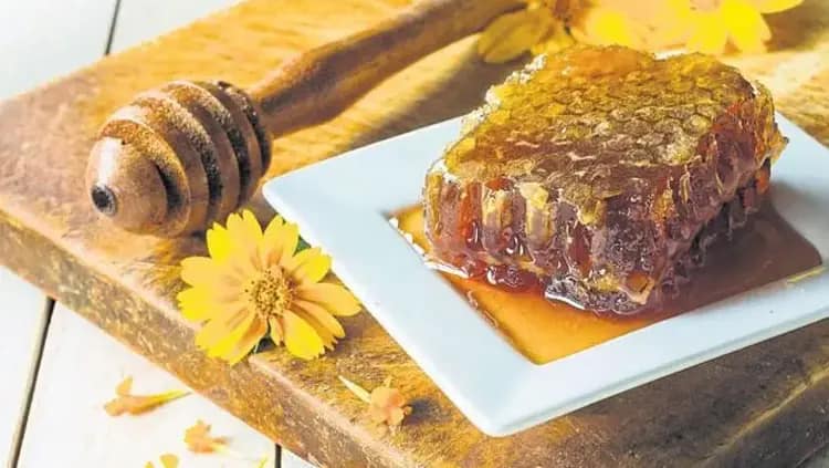 عسل کوهی اصل برداشت شده از مراتع طبیعی